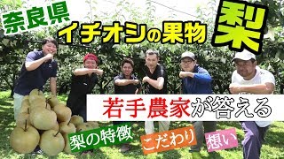 奈良県の果物と言えばコレ！【大阿太高原の梨】