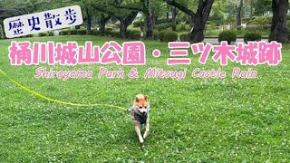 柴犬おーじろう☆歴史散歩・桶川城山公園と三ツ木城跡 History Walk - Okegawa Shiroyama Park \u0026 Mitsugi Castle Ruin