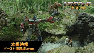 映画『トランスフォーマー／ビースト覚醒』本編映像 ビースト遭遇編（吹替版）