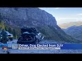 Driver & Dog Injured After SUV Rolls Off Black Bear Pass