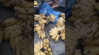 সবরি কলা | Banana