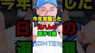 今年覚醒した日ハムの選手3選