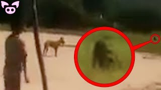 Mysterious Videos You Should Not Watch Alone
