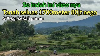 Di Jual saja Sawah produktif 1700meter Ditawarkan 80jt Nego view Super