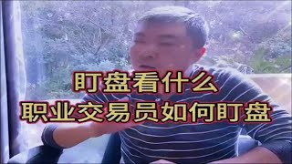 炒股盯盘看的是什么？职业交易员如何盯盘？