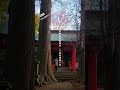 香取の海に鎮座する古社～高野山香取神社 千葉県我孫子市 神社 神社仏閣 神社巡り 5４歳 50代 アラフィフ ひとり旅 車中泊 バンライフ