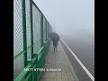 Matt Atten -- 274A2