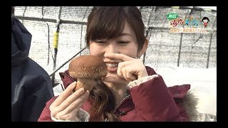 2/6(水)鳥取あぐりヌーヴォー【目指せ！鳥取茸王!!Vol.1】