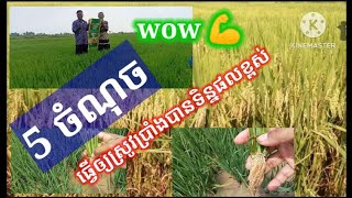 5 ចំណុចបានទិន្នផលខ្ពស់ EP 154 /0316322224/0966632030/telegram 011932725/facebook លីន ចិនគ្រុយ