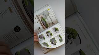 Книга Miniature Moss Gardens: Create Your Own Japanese Container Gardens (Миниатюрные сады со мхом)