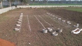 Preparation Of Cow Shed And Backyard  Land for Organic Farming