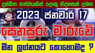 Meena | 2023 Senasuru maruva | Pisces | Saturn transit | සෙනසුරු මාරුව මීන ලග්නයේ ඔබට කොහොම ද ?