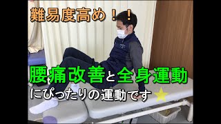 【腰痛体操】腰の痛みに効くすぐに出来る体操