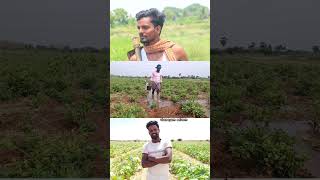 @vivasayamseivom #farming #vivasayam #agriculture