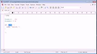 Beginner PHP Tutorial 21 Comparison Operators flv