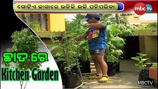 Roof-top Organic Farming: Kitchen Garden In Bhubaneswar || MBCTv