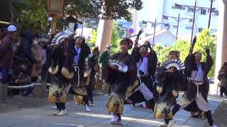 奉納よさこい'17 大鳥居～流し さかど華吹雪 - 威吹己～いぶき