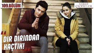 Neriman’dan kaçan Songül ve Güney! - Kırgın Çiçekler 109.Bölüm