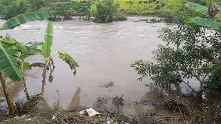 O rio Pontal Sul após as chuvas de 13 de Janeiro 2025...