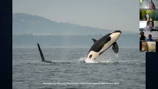 Orca Month Youth Zoom-Nora Nickum, Author of Superpod