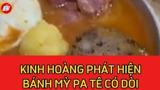 KINH HOÀNG PHÁT HIỆN BÁNH MỲ PA TÊ CÓ DÒI I TIN HOT TRONG NƯỚC I THTN