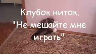 Клубок ниток. \