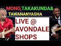 Mono Mukundu:Live featuring Takakunda Mukundu & Tawananyasha Mamvura.Sun 1jan 2017@Avondale shops,Ha