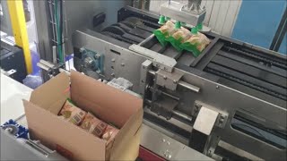 Auto Case Packer for Bags