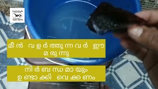 മീൻ വളർത്തുന്നവർ നിർബന്ധമായും ഈ മരുന്ന് കരുതി വെക്കണം #goldangelfishfarm #kerala