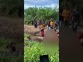 Buaya sungai Rokan makan korban lagi, kejadian di Teluk hilap kab. Rokan hilir riau