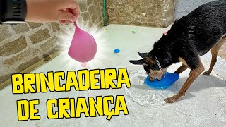 MEUS CACHORROS MANDAM! ELES ESCOLHERAM AS BRINCADEIRAS E EU FIZ!