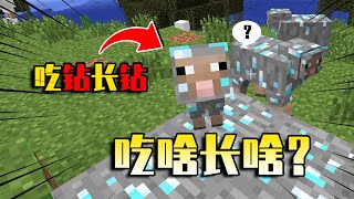 【我的世界-Minecraft】MC里有一群特殊的羊，喂它吃什么就长什么！