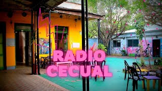 Radio Cecual