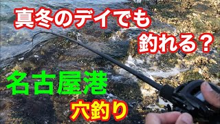 名古屋港 穴釣り 真冬のデイでも釣れる？根魚釣り