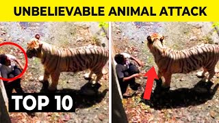 10 Most Shocking Animal Attacks that actually happened!