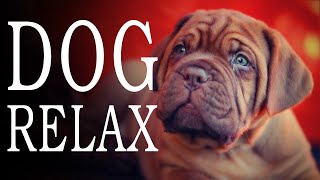 [No ads] Relaxing music for dogs - Lulls to sleep, relieves stress, cures separation anxiety for dog