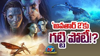 'అవతార్‌ 2'కు గట్టి పోటీ!? | Avatar 2 | NTV ENT