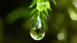 バケツをひっくり返したような雨|дﾟ)　ミャンマー