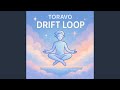 Drift Loop