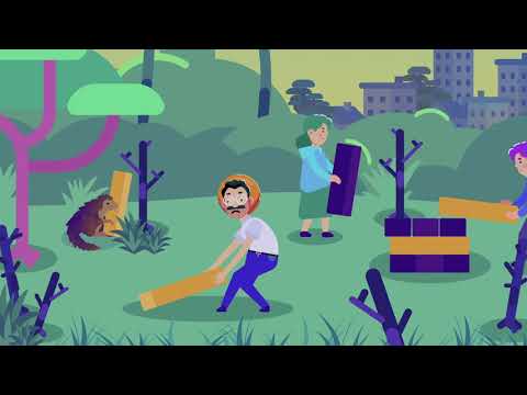 Is biodiversity a good or bad thing?