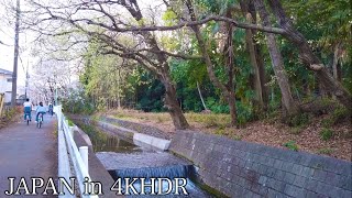 【4K HDR】⑤東村山音頭で有名な街を散歩(Higashimurayama) - Tokyo JAPAN Walk