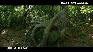 WALK in OITA #6 男池からかくし水 ４K　由布市