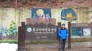 통고산 자연휴양림(Natural recreation forest in Tonggosan)을 가다.(2021/3/13)