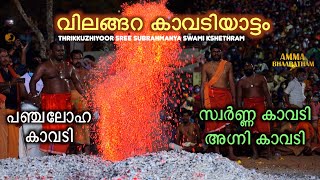 പ്രസിദ്ധമായ വിലങ്ങറ കാവടിയാട്ടം l  പഞ്ചലോഹ സ്വർണ്ണ അഗ്നി കാവടികൾ l Thrikkuzhiyoot Temple l Kollam