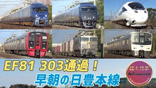 【JR日豊本線】日曜朝に築城駅とその付近を通過する列車【続々列車】