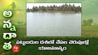 పట్టుబడుల దశలో చేపల చెరువుల్లో యాజమాన్యం | Summer care of fish during harvest stage | ETV Telugu