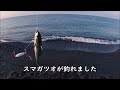 【釣り】　高知　サーフ　『青物が、まだまだ回って来てる』 釣り fishing 高知