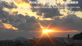 秋の紅葉と夕日雲と夜景：青葉公園散歩Autumn leaves, sunset clouds and night view: Aoba Park walk