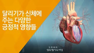 달리기가 신체에 주는 다양한 긍정적 영향들 - (2018.5.23_649회 방송) 런(RUN)! 다시, 달리기