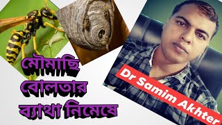 মৌমাছি বোলতার ব্যাথা নিমেষে দূর